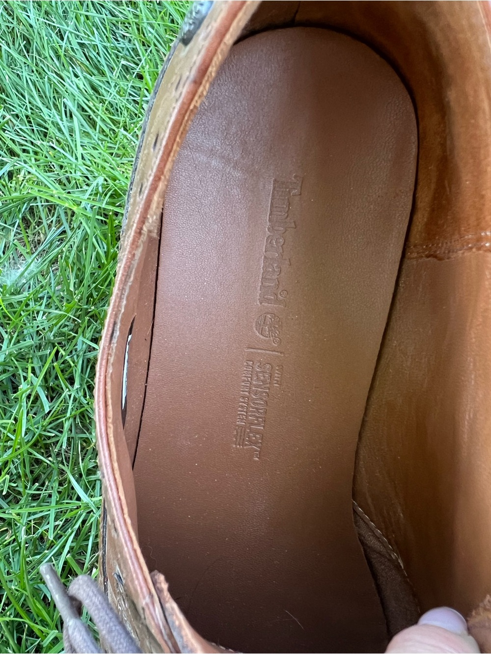 Timberland Defender Wingtip Sneaker - LIKE NEW - Picture 5 of 8